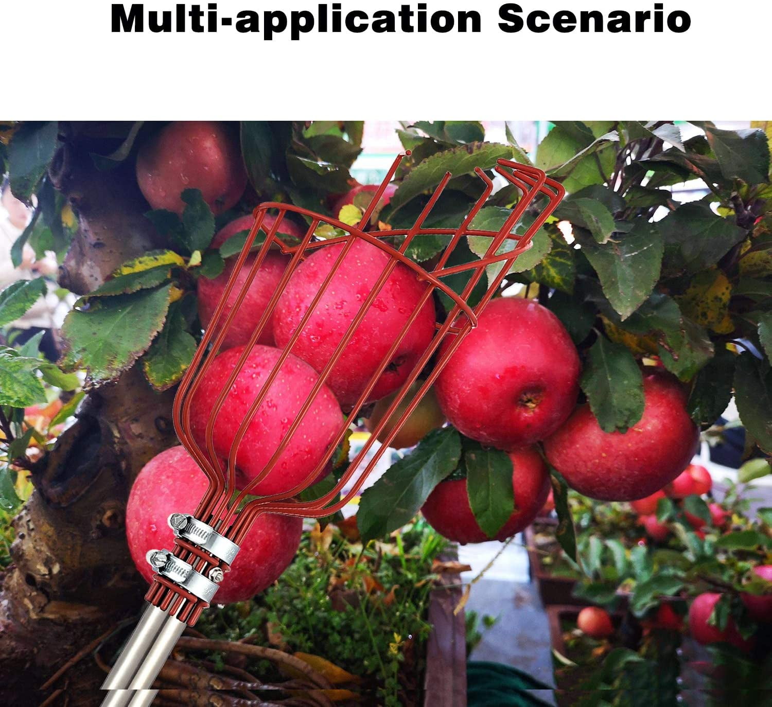Kepooman Adjustable Fruit Catcher Tool with Basket & Stainless Steel Pole for Getting Fruits, 16.54" * 10.04" * 5.31", Red Kepooman Adjustable Fruit Catcher Tool with Basket & Stainless Steel Pole for Getting Fruits, 16.54" * 10.04" * 5.31", Red