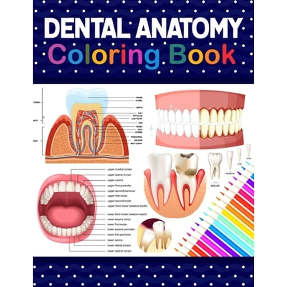 Pre-Owned Dental Anatomy Coloring Book: Learn the Basics of Dental Anatomy. Dental Anatomy Coloring Book for Cute Children's,, (Paperback)