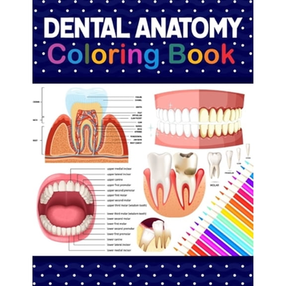 Pre-Owned Dental Anatomy Coloring Book: Learn the Basics of Dental Anatomy. Dental Anatomy Coloring Book for Cute Children's, Kids, Boys, Girls, Dental ... Dentists. Anatomy Book for Dental Students.