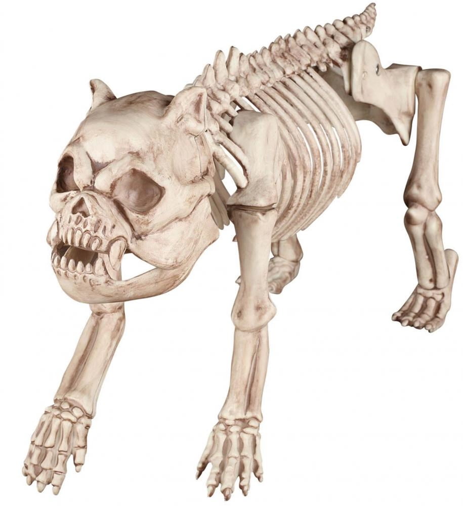 Halloween Skeleton Dog Prop NEW Puppy Decoration 19 inches long 