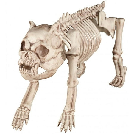 Bones the Bulldog Skeleton Prop
