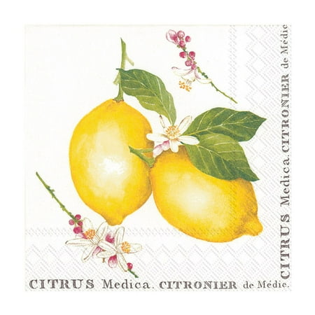 Set of 2 Small Lemon Citrus Medica Napkin 20 Pack