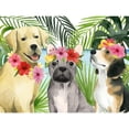 thumbnail image 3 of Popp, Grace 24x19 Black Modern Framed Museum Art Print Titled - Coastal Canines III, 3 of 5