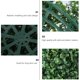 thumbnail image 3 of unbranded 1Ud Bola Colgante De Planta Artificial Verde Para Decorar Pared O Jardín De Forma, 3 of 7
