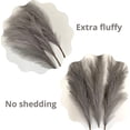 thumbnail image 2 of Grande Falso Gris Pampas Hierba 5 Tallos Extra Esponjoso Falso 70cm Ramo De Flores De Plumas Sala De Estar Decoración Del Hogar Boho Decoración Del Hogar Jarrón Alto Mesa Flor Boda, Gris JAMW Sencillez, 2 of 5