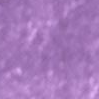 Purple Charms