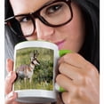 thumbnail image 2 of 3drose, Usa, Montana, Pronghorn Antelope Buck Standing in a Wildflower Meadow, 11oz Two-tone Green Mug, 2 of 6