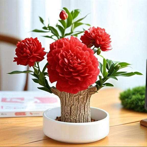 Brazilian Wood Feng Shui Plant Harmonizing Health Luck and Success Natural Air Purifier for Indoor Spaces Boosts Positive Energy Prosperity and Wellness Perfect for Home or Office Décor Low