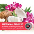 thumbnail image 3 of Refresh Your Car Mini Difusor Ambientadores Para Coche Aroma A Amanecer Hawaiano, Paquete De 2, 3 of 5