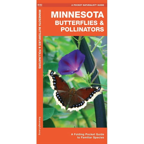 Hello!: Hello, Music! (Board book)