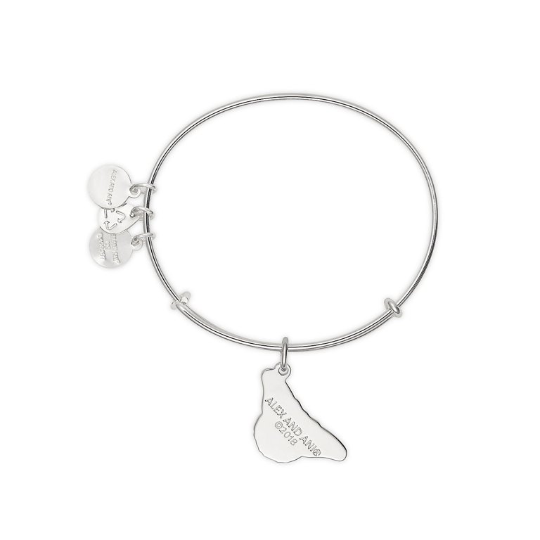 Monarch Butterfly + Crystal Accent Charm Bangle | Alex and Ani