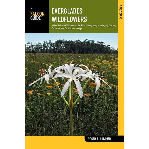 Wildflowers in the National Parks Everglades Wildflowers, (Paperback)
