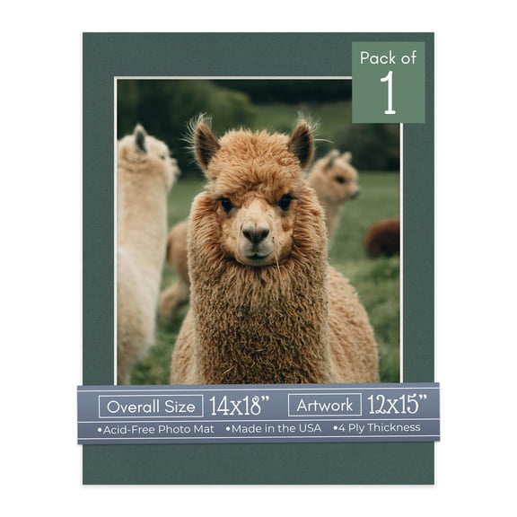 Spruce Green Picture Frame Mat for 14x18 Frames - Fits 12x15 Photos - 1 Mat