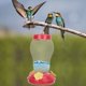 thumbnail image 3 of Hffheer Colibrí Alimentador de Agua Colgante Pájaro Bebedero al Aire Libre Plástico Forma de Flor Colibrí Bebedero Mini Colibrí Alimentador(Rojo) Ecomeon no, 3 of 4