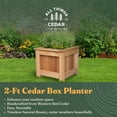 thumbnail image 2 of All Things Cedar Jardinière de 2 Pi, Bac de Jardin Extérieur Surélevé, Naturel, 2 of 7