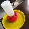 thumbnail image 5 of Chick Feeder and Waterer Kit Durable Plastic Fount for Up to 8 Chicks At Once, 5 of 5