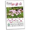 Pinkie Cosmos Flower Seeds, 100 Heirloom Flower Seeds Per Packet, Isla's Garden Seeds
