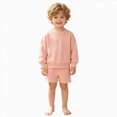 thumbnail image 3 of HFHAPW Toddler Baby Boy Fall Clothes Solid Color Long Sleeve Pullover Sweatshirt Tops Joggers Shorts Set Winter Outfits 0 6 12 18 Months 2T 3T 4T 5T 6T 7T 8T 9T(Pink,120), 3 of 5