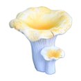 thumbnail image 1 of fastboy Décorations de Paysage en Forme de Champignon Simulé pour Jardin Corne en Résine Durable et Longue Durée, 1 of 6