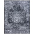 thumbnail image 2 of SAFAVIEH Tucson Donovan Oriental Machine Washable Area Rug, Black/Grey, 10' x 14', 2 of 14