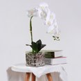 thumbnail image 3 of Matsuzay Orquídea de imitación Flor artificial Decoración de jardín Baño Plástico Maceta Toque Arreglo falso Calcomanía para el hogar Jarrón de Decoración del hogar Blanco Matsuzay HA084030-04, 3 of 6