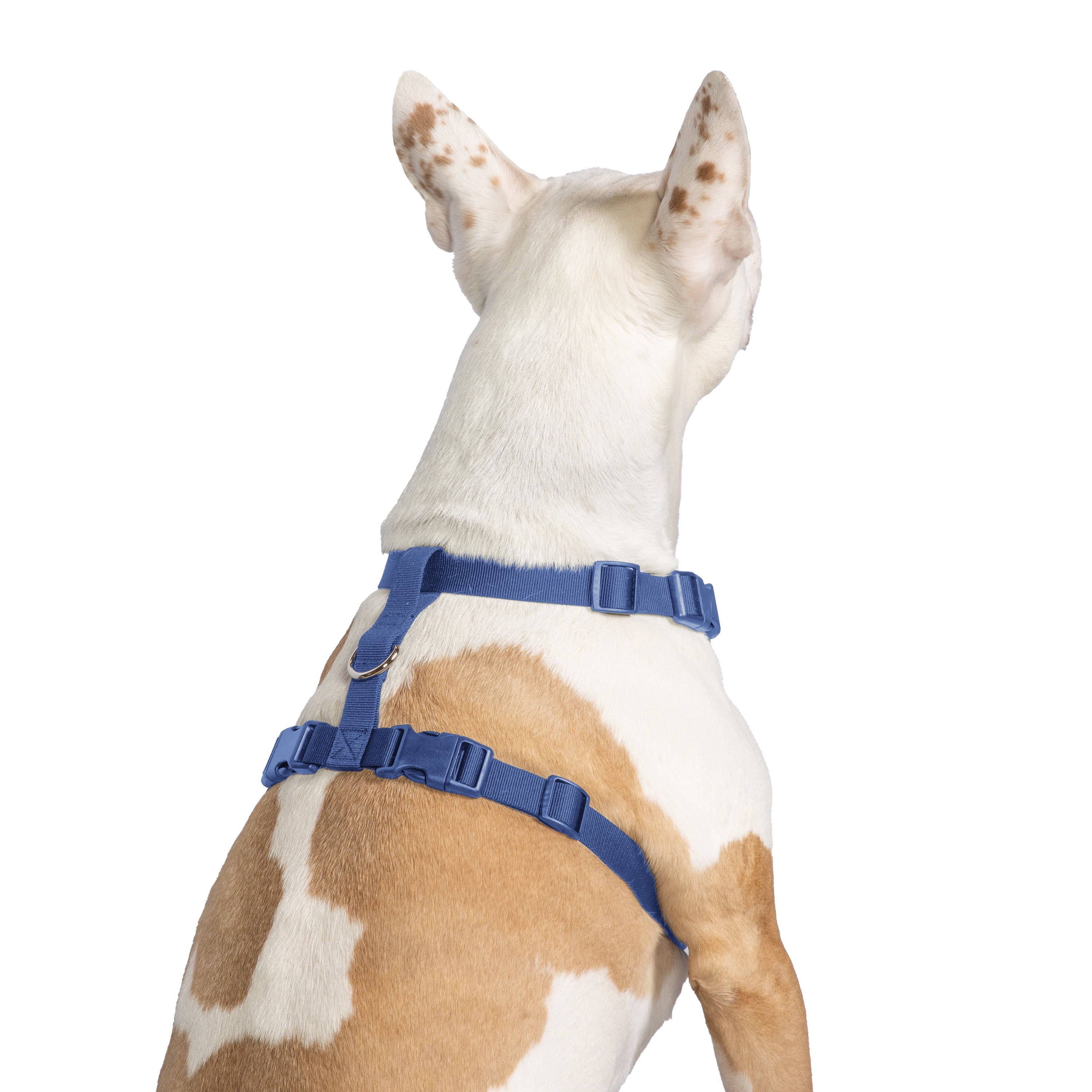 Vibrant Life Polyester Mesh Adjustable and Reflective Dog Walking Harness, Blue, L