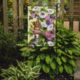 thumbnail image 2 of Carolines Treasures ASA2137GF Dormouse Flag Garden Size, 2 of 3