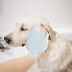 thumbnail image 4 of Guantes 2 En 1 Para El Aseo De Mascotas Adorable Guante De Masaje Para El Aseo De Mascotas Con Forma De Cabeza De Gato Aseo Para Perros Gatos Conejos En Pelo Húmedo O Seco Guantes Para Pelo De, 4 of 5