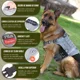 thumbnail image 4 of Pecheras Tactico Arnés Para Perro Con 4velcro Grande Mediano, 4 of 8