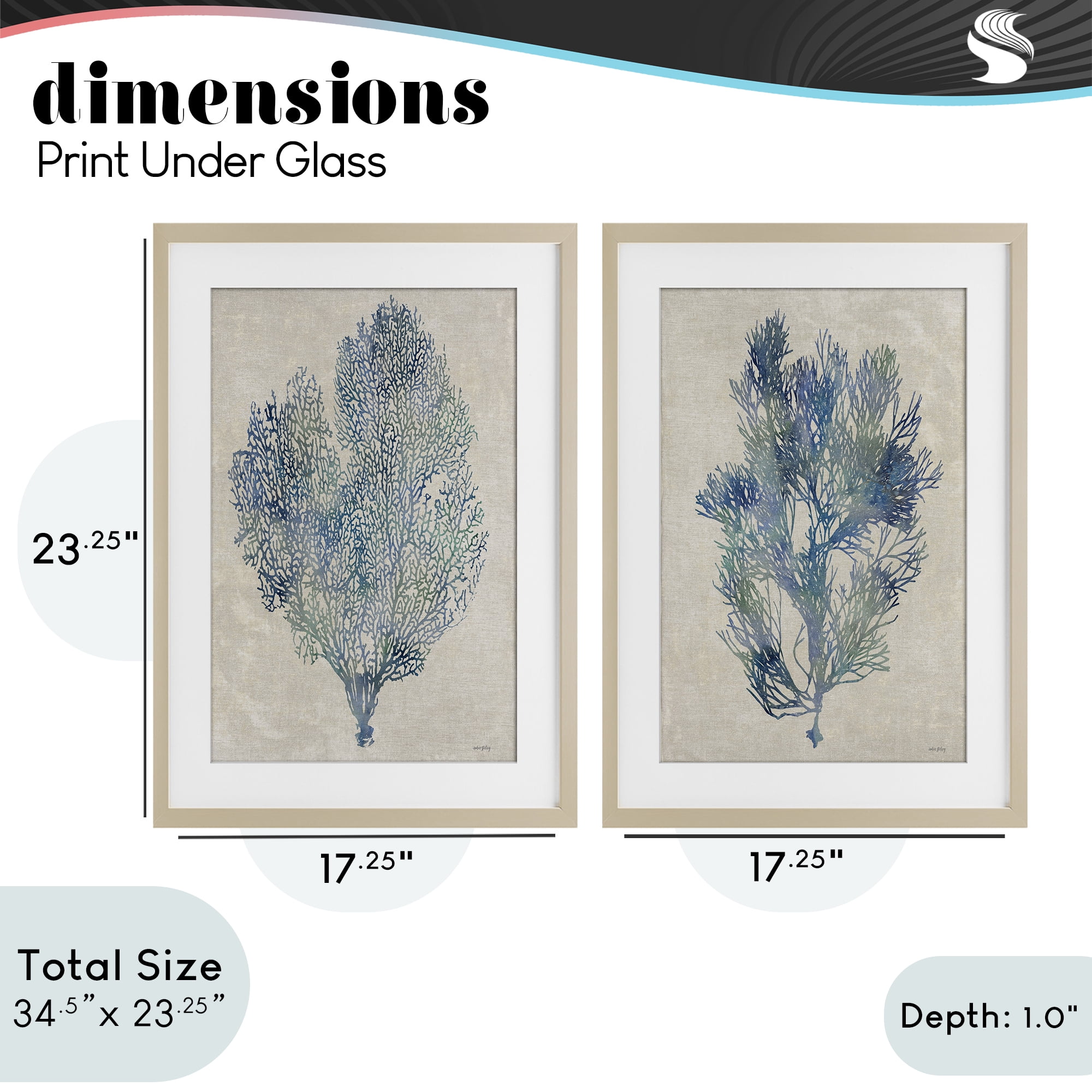 Stupell Industries Fan Coral Study in Blues 2 Piece Birch Framed Print Under Glass Set, design by Amber Sterling