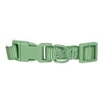 thumbnail image 3 of Vibrant Life Polyester Adjustable Collar for Dogs, Sage Green, Small, 3 of 5