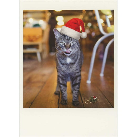 Palm Press Gray and White Cat in Santa Hat with Menacing Face Box of 10 Christmas Cards