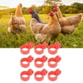 thumbnail image 4 of 100Pcs Chicken Leg Bands Buckle Design Easy Installation TPU Material Chicken Identification Bands Chicken Leg Rings for Ducks Chicks [large], 4 of 9