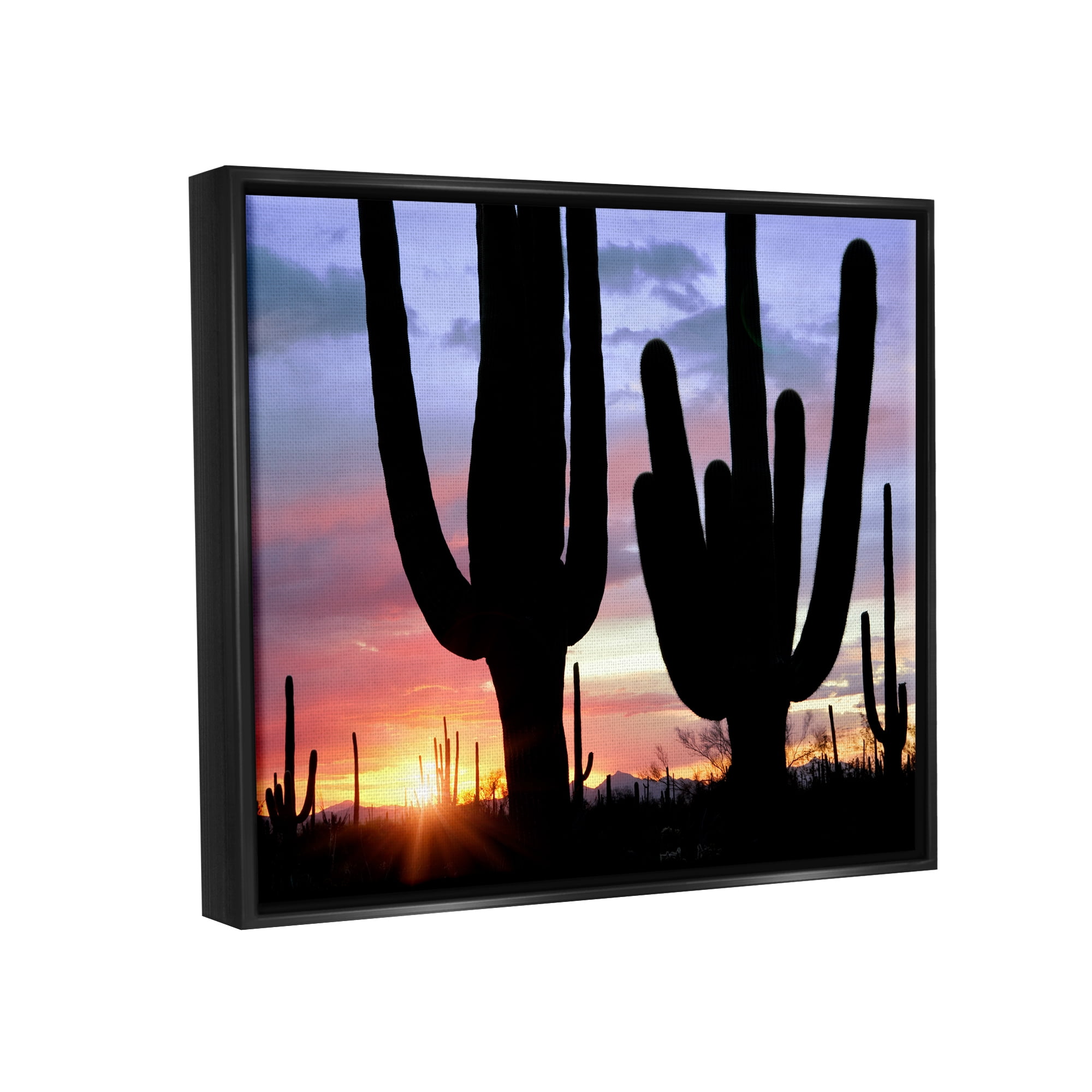 Stupell Industries Desert Cactus Sunset Silhouettes Landscape Photography Black Floater Framed Art Print Wall Art