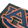 thumbnail image 5 of Fanmats NBA - Toronto Raptors Color Hitch - Black 3.4"x4", 5 of 5
