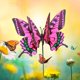 thumbnail image 4 of Estacas De Mariposa 4 Uds estacas de mariposa 7/12cm decoración de macetas de PVC para decoración interior/exterior Sywqhk Libre de BPA, 4 of 8