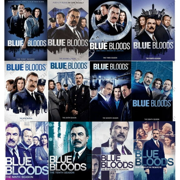 Blue Bloods: The Complete Series (DVD) (English)