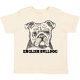 thumbnail image 3 of Inktastic English Bulldog Sketch Portrait with Dog Breed Name Boys or Girls Toddler T-Shirt, 3 of 5