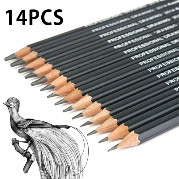 EASTIN Ensemble de Crayons en Bois 14 Pcs pour Artistes Pro Dessin