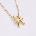 thumbnail image 2 of Mengzhiii Symbolic Version Of The Twelve Constellation Alloy Paper Card Clavicle Necklace Necklaces Pack, 2 of 6