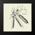 thumbnail image 2 of Studio Mousseau 12x12 Black Modern Framed Museum Art Print Titled - Linen Vegetable BW Sketch Peas, 2 of 5