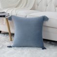 thumbnail image 3 of 2 Pcs Velvet Throw Pillow Cover with Tassel, Square Throw Pillow Case Cushion Cover, 3 of 8