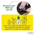 thumbnail image 5 of 4 in. Round Peat Pots Seed Starter Kit (6-Pack), 5 of 5