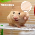 thumbnail image 4 of WESIEVYA 1Set Small Pet Ramp for Cage Wooden Platform for Coordination Development 14.93X7.47X4.72in, 4 of 5