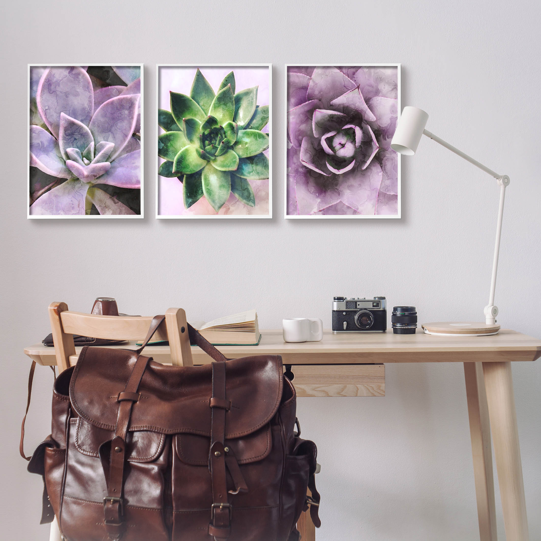Purple Sprouting Succulents Close Up Botanical & Floral Graphic Art White Framed Art Print Wall Art, Set of 3