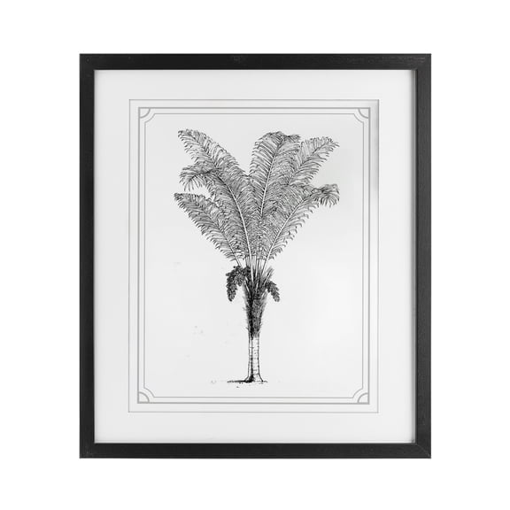 Vintage & Minimal Palm Black Framed Print Under Glass, design by Lettered and Lined