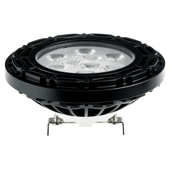 Landscape 10W ANSI 40 Degree 3000K LED Lamps in Black