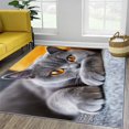 thumbnail image 4 of Yellow Eyes 3D Printed Area Rug Animal Grey Cat Non-Slip Low Pile Carpet for Living Room Bedroom, Kids Room and Home Decor, Durable Machine Washable Breathable Indoor Floor Mat 6 X 9 Ft, 4 of 7