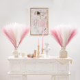 thumbnail image 4 of JUMRHFAN Pampas Grass Pink Decor 17.7 inch 6pcs, Faux Pampas Grass Home Decor, Artificial Pampas Grass Blush Fake Pampas, Short Vase Room, 4 of 8