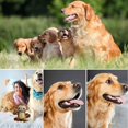 thumbnail image 4 of Juguete para Perros, Juguetes para Perros, Juguetes para Perros, chirriadores para Perros de Felpa, Juguetes para Masticar Seguros para Perros pequeños y medianos, 4 of 5